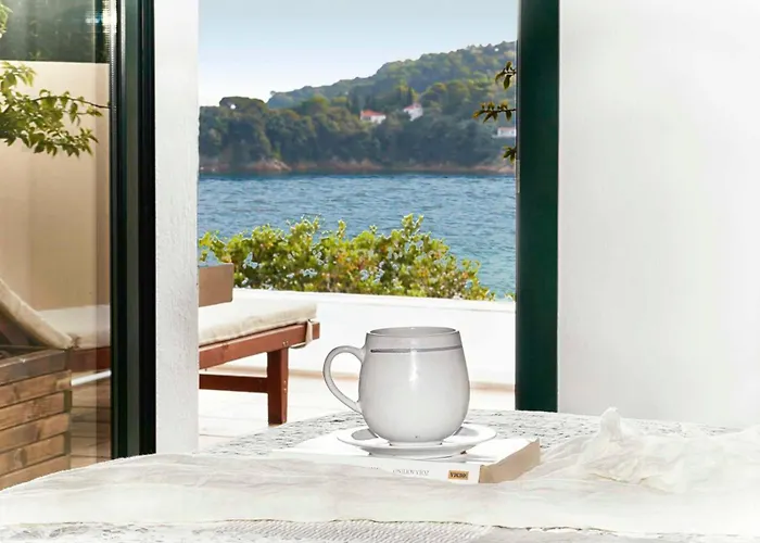 Zinnia Villa Achladias