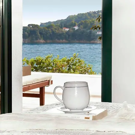 Zinnia Villa Achladias