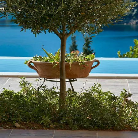 Villa Zinnia